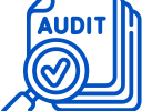 audit audit
